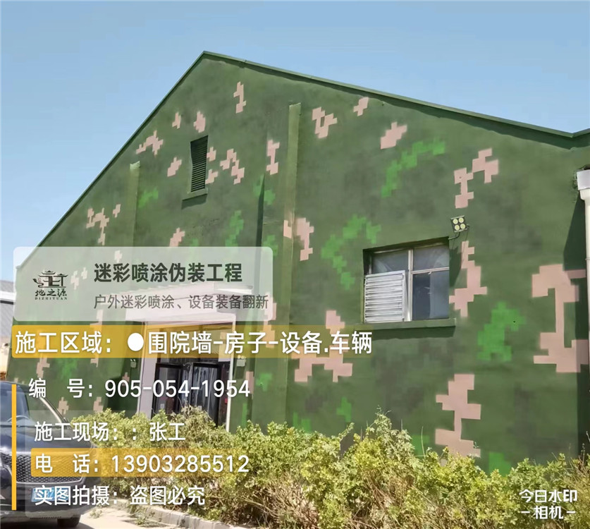 温州外墙数码迷彩漆施工报价清单（100㎡标准墙面测算）